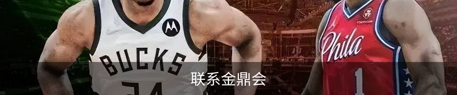 联系金鼎会